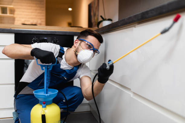 Pest Prevention Services in Reedsport, OR