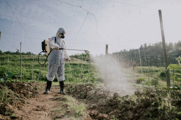 Best Pest Prevention Services  in Reedspt, OR