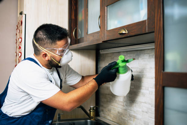Best Wasp Removal Services  in Reedspt, OR