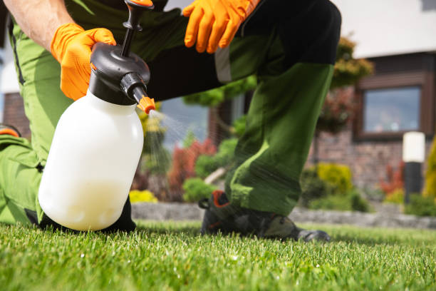 Best Pest Control Near Me  in Reedspt, OR