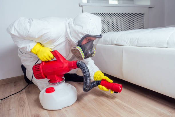 Best Flea Control Services  in Reedspt, OR