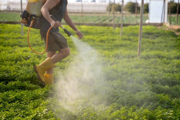 Best Local Pest Control Services  in Reedspt, OR