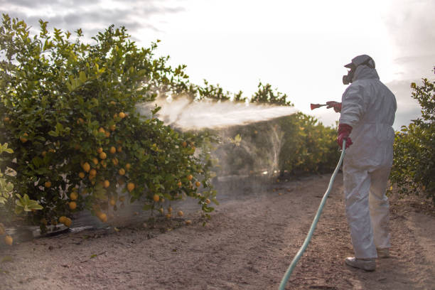 Best Best Pest Control Companies  in Reedspt, OR