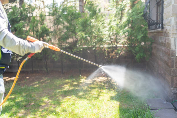 Best Emergency Pest Control  in Reedspt, OR