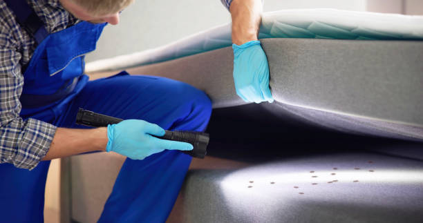Best Affordable Pest Control Services  in Reedspt, OR