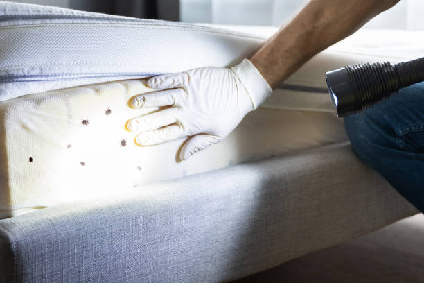 Best Exterminator Services  in Reedspt, OR