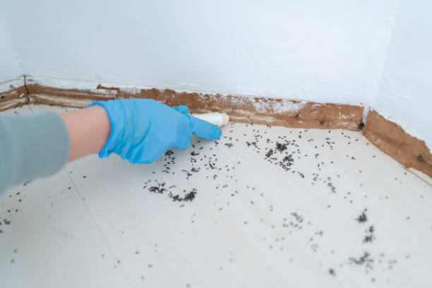 Best Spider Control Near Me  in Reedspt, OR