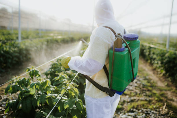 Best Pest Prevention Services  in Reedspt, OR
